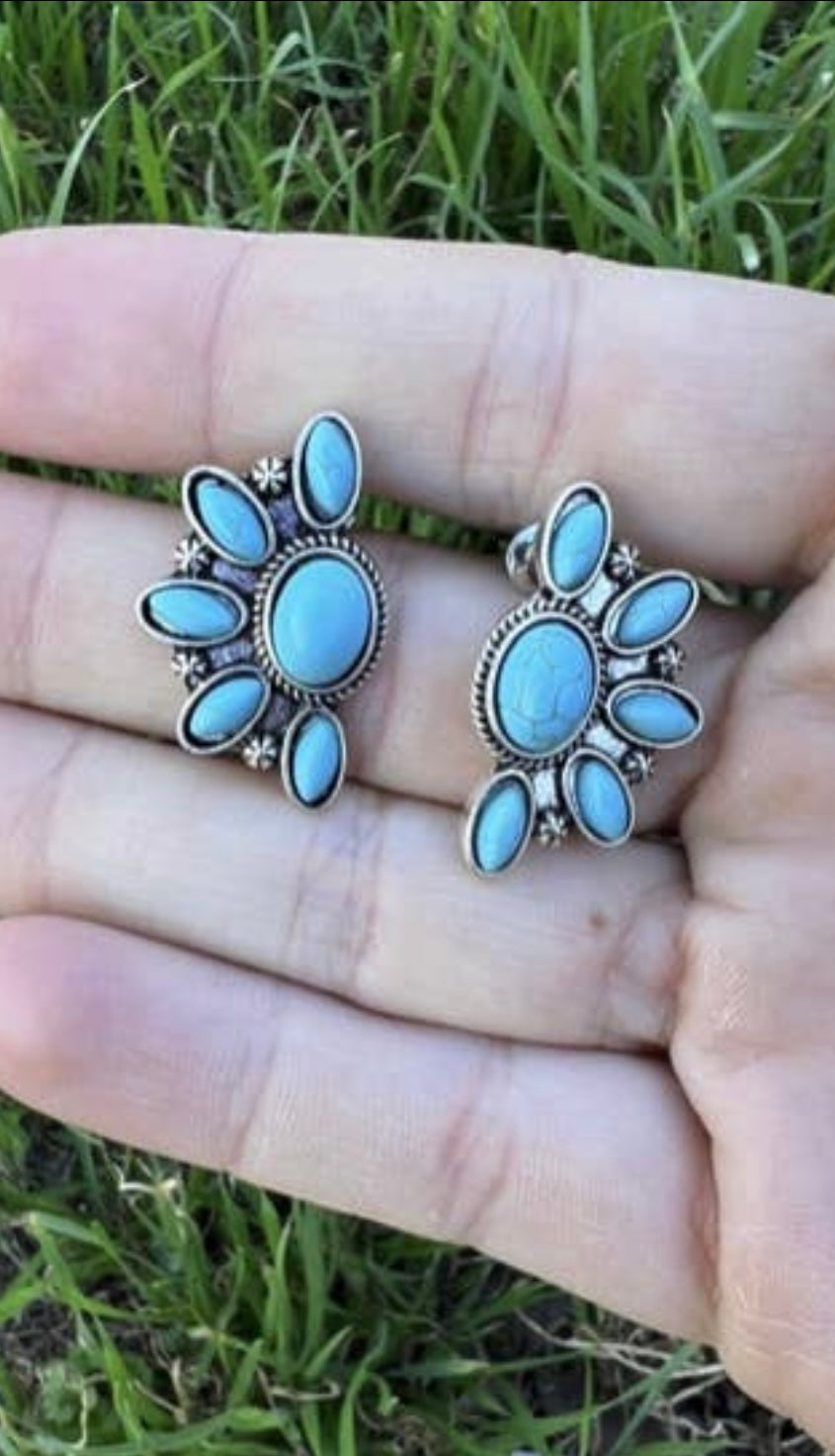 Turquoise Pendant Earrings